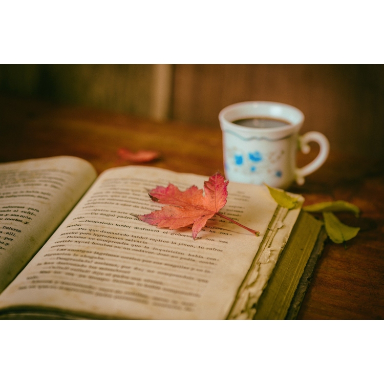 Die schönsten Buchneuheiten aus dem Herbst 2025